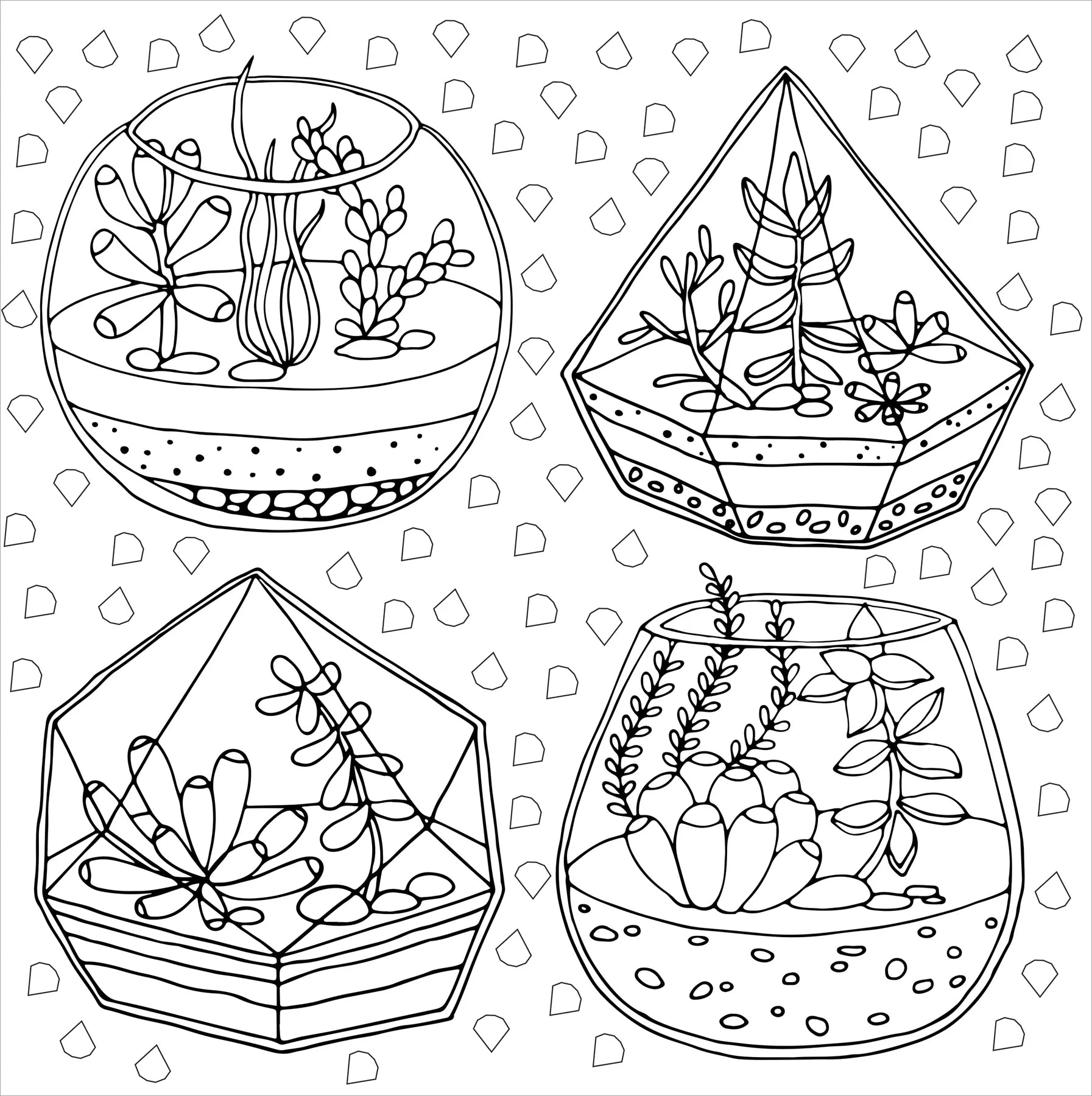 Colouring Book - Succulents