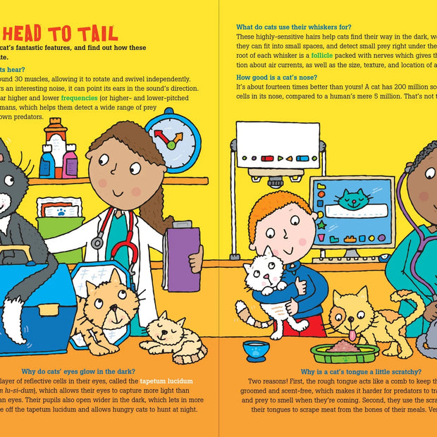 100 Questions about Cats