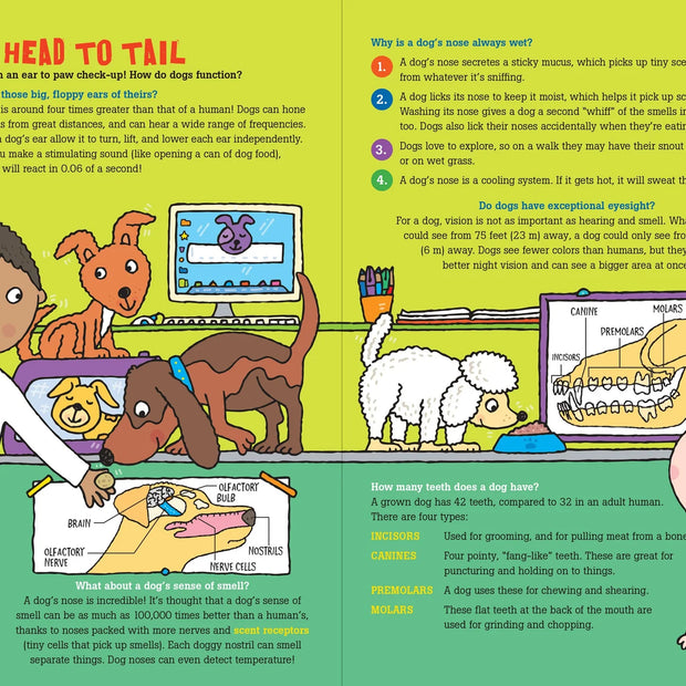 100 Questions about Dogs