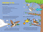 100 Questions about Birds