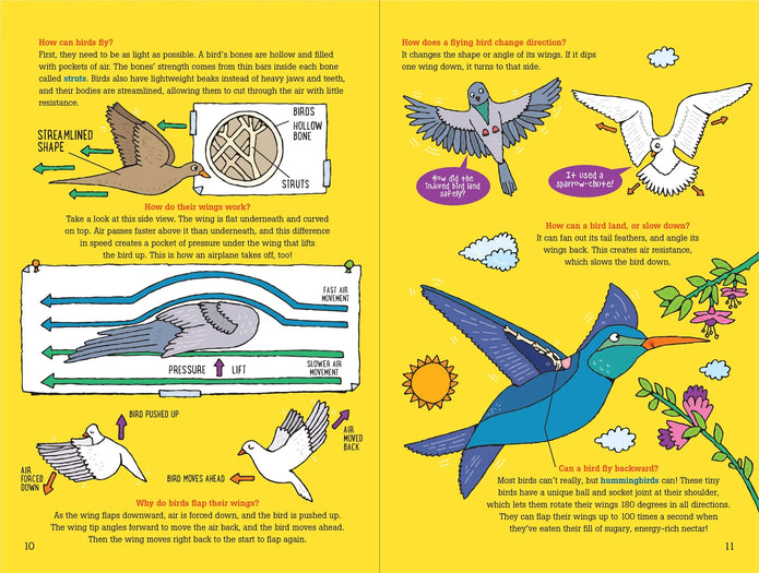100 Questions about Birds