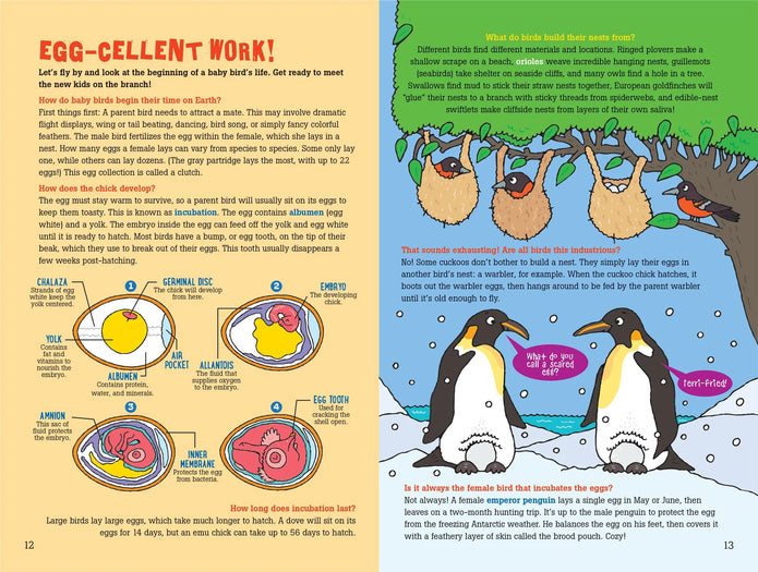 100 Questions about Birds