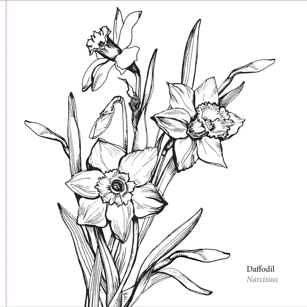 Colouring Book - Spring Blooms