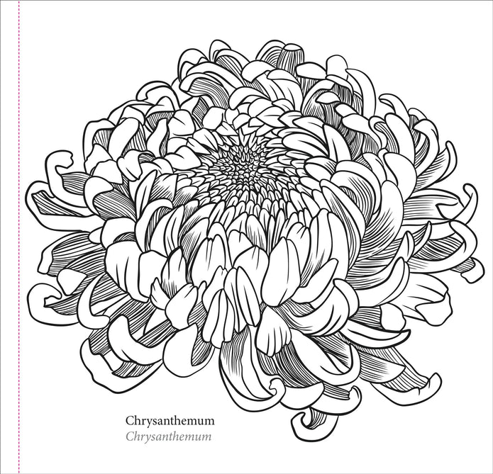 Colouring Book - Spring Blooms