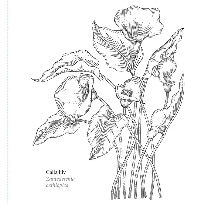 Colouring Book - Spring Blooms