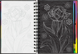 Scratch and Sketch - Extreme! Flowers