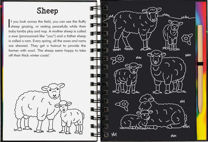 Scratch and Sketch - On The Farm