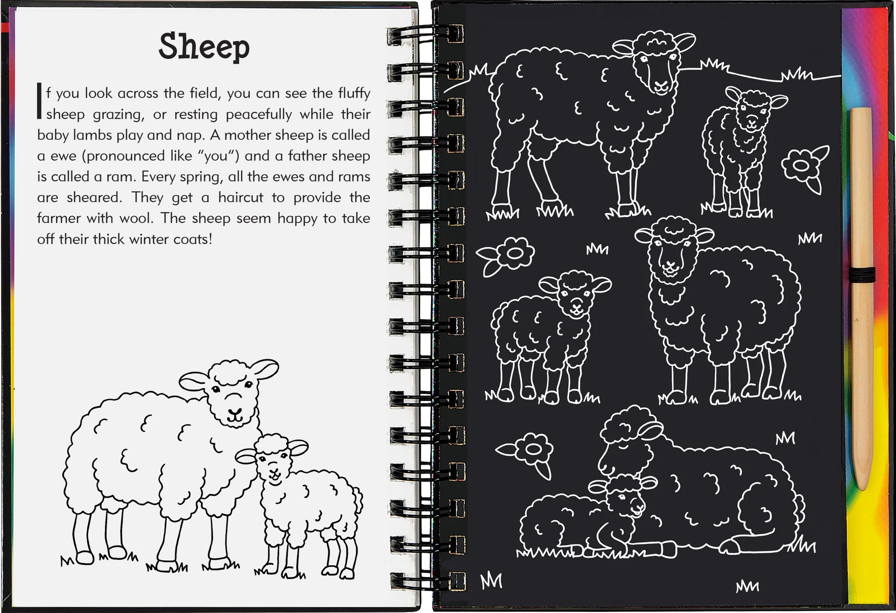 Scratch and Sketch - On The Farm