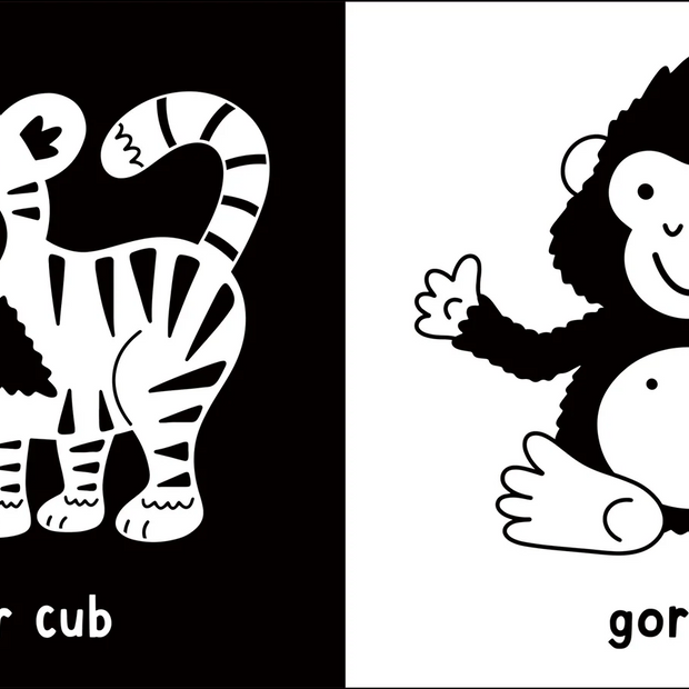 What Does Baby See? - Baby Animals