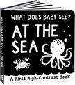What Does Baby See? - At The Sea