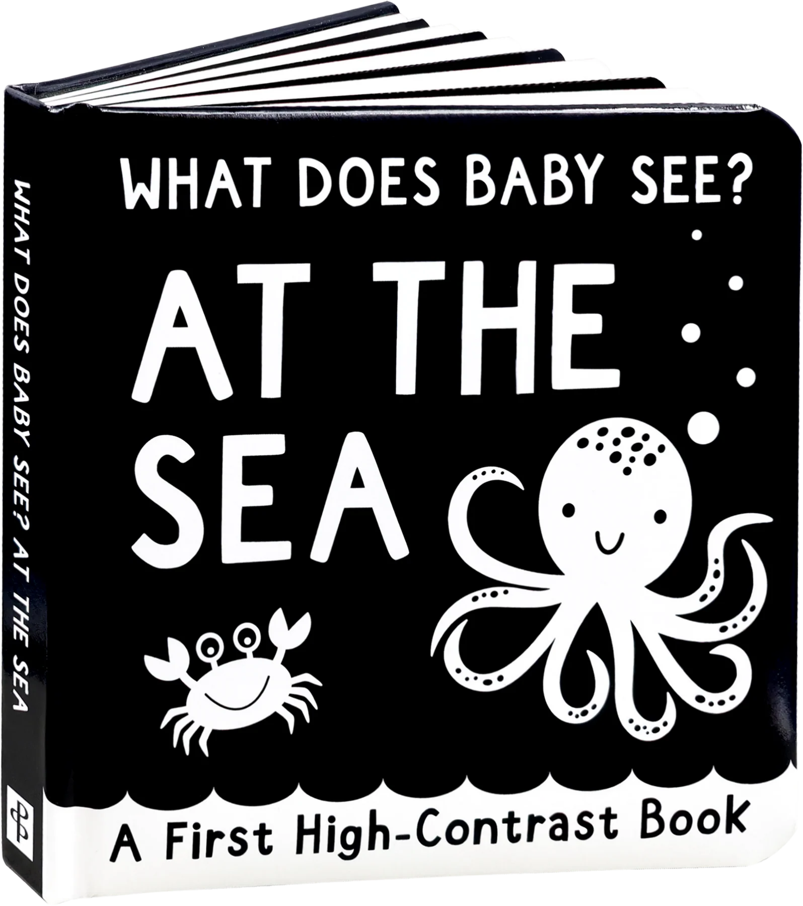 What Does Baby See? - At The Sea
