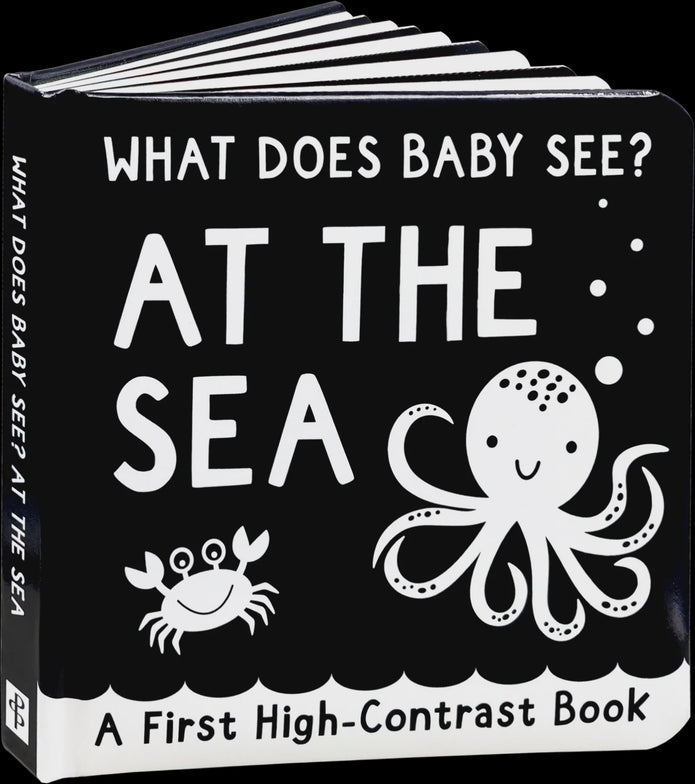 What Does Baby See? - At The Sea