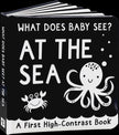 What Does Baby See? - At The Sea