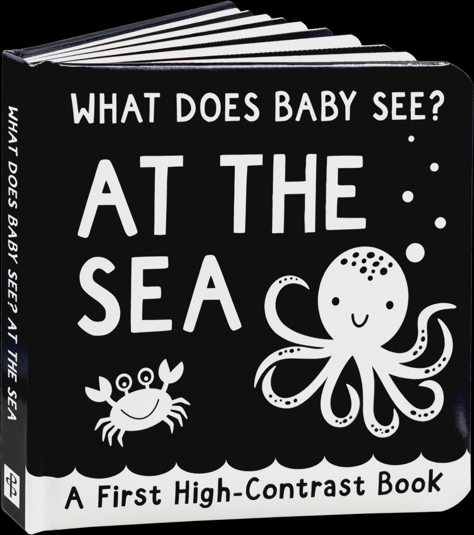 What Does Baby See? - At The Sea