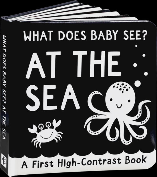 What Does Baby See? - At The Sea