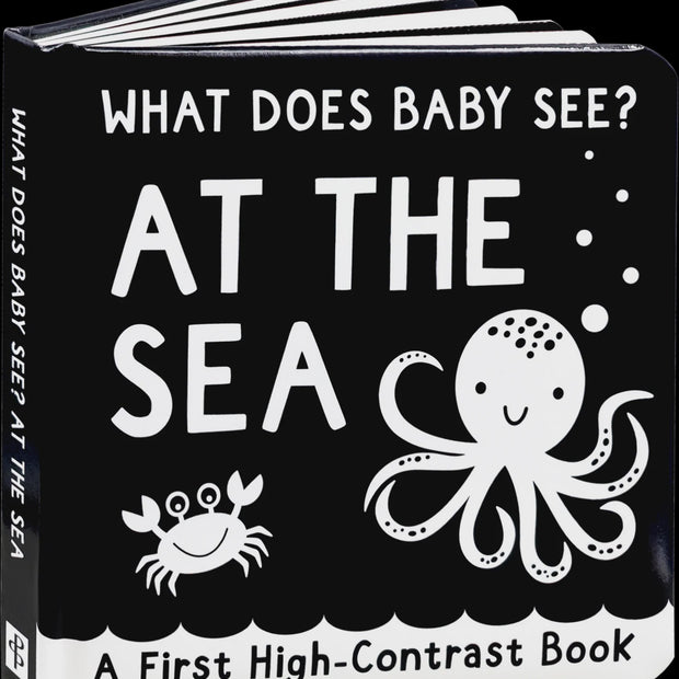 What Does Baby See? - At The Sea
