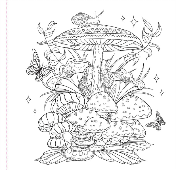 Colouring Book - Enchanted Kingdom