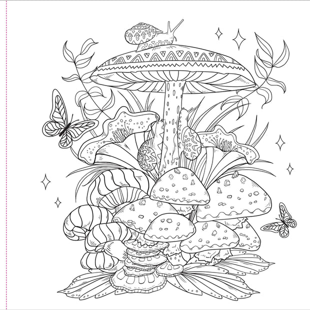 Colouring Book - Enchanted Kingdom
