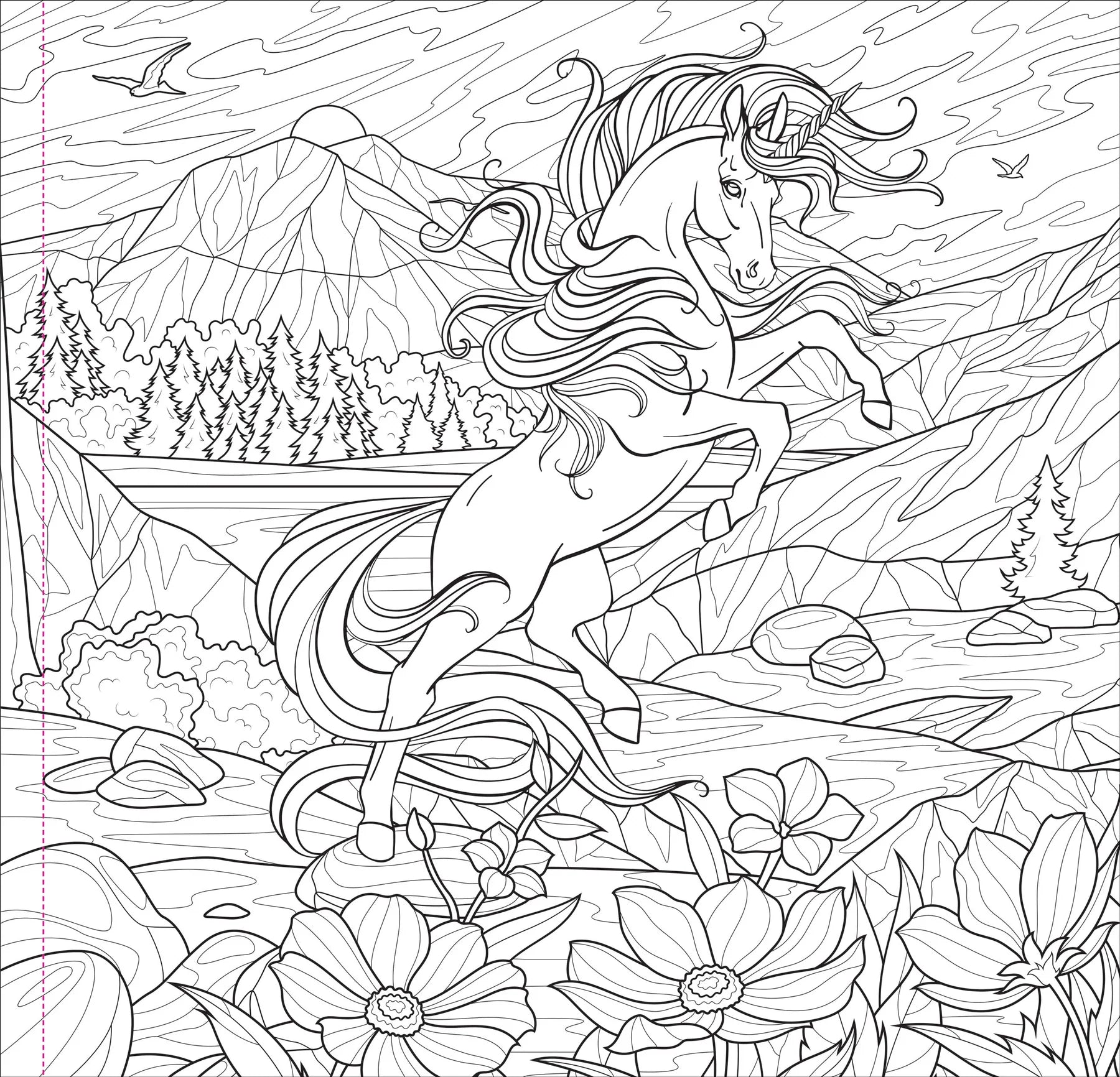 Colouring Book - Enchanted Kingdom