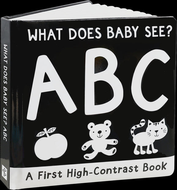 What Does Baby See? ABCs