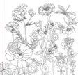 Colouring Book - Wildflowers