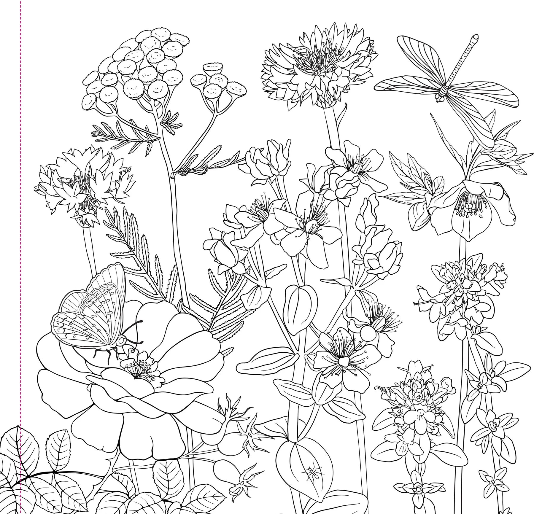 Colouring Book - Wildflowers