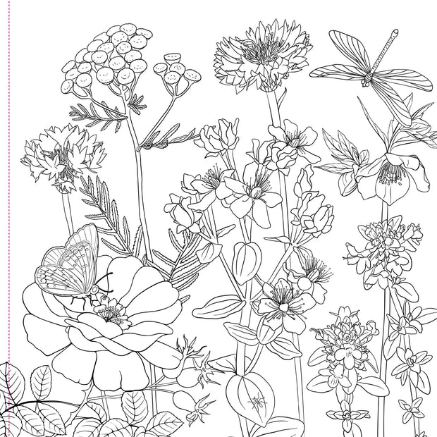 Colouring Book - Wildflowers