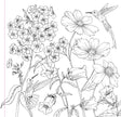 Colouring Book - Wildflowers