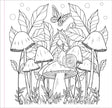 Colouring Book - Mushrooms