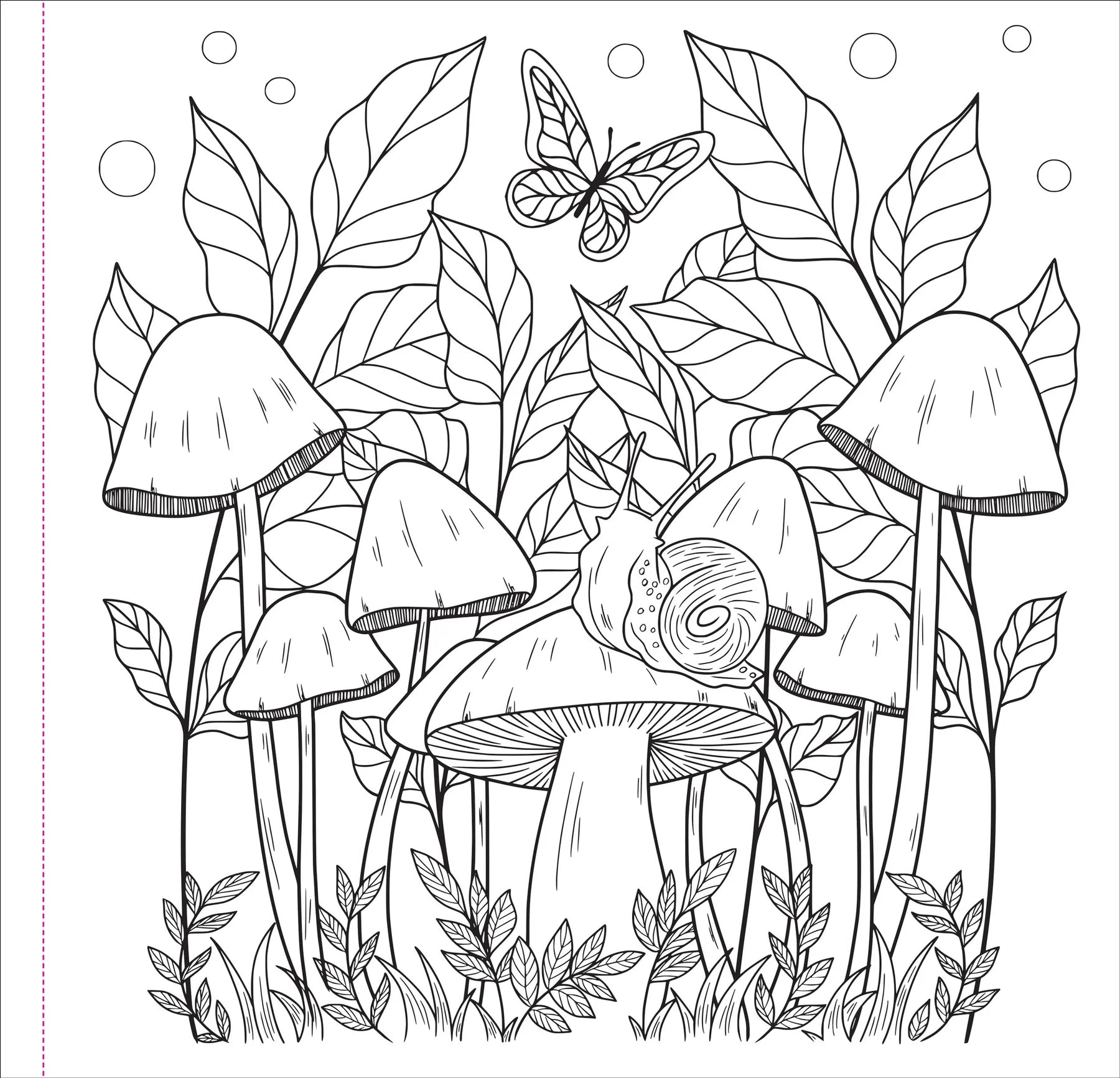 Colouring Book - Mushrooms
