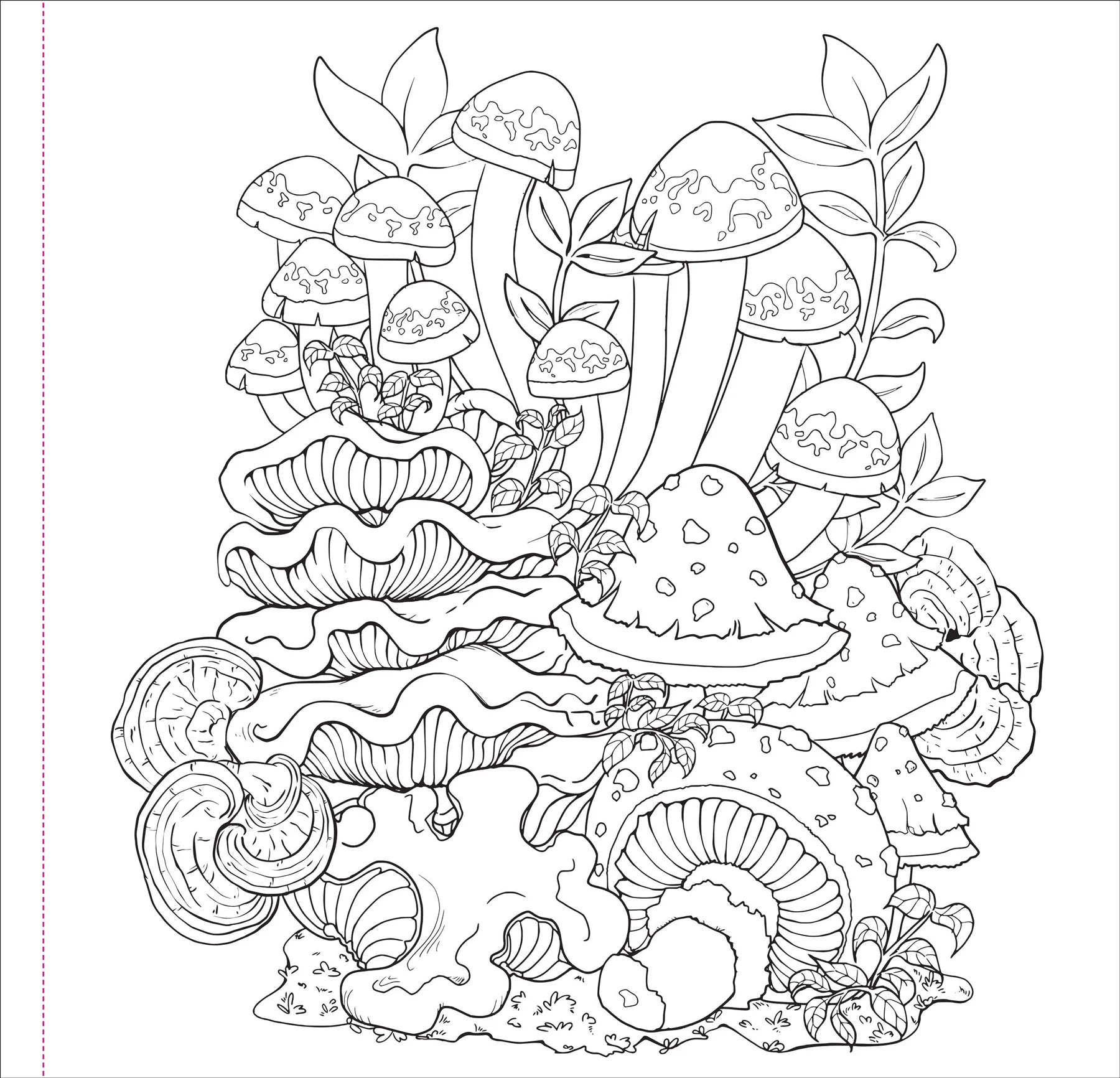 Colouring Book - Mushrooms