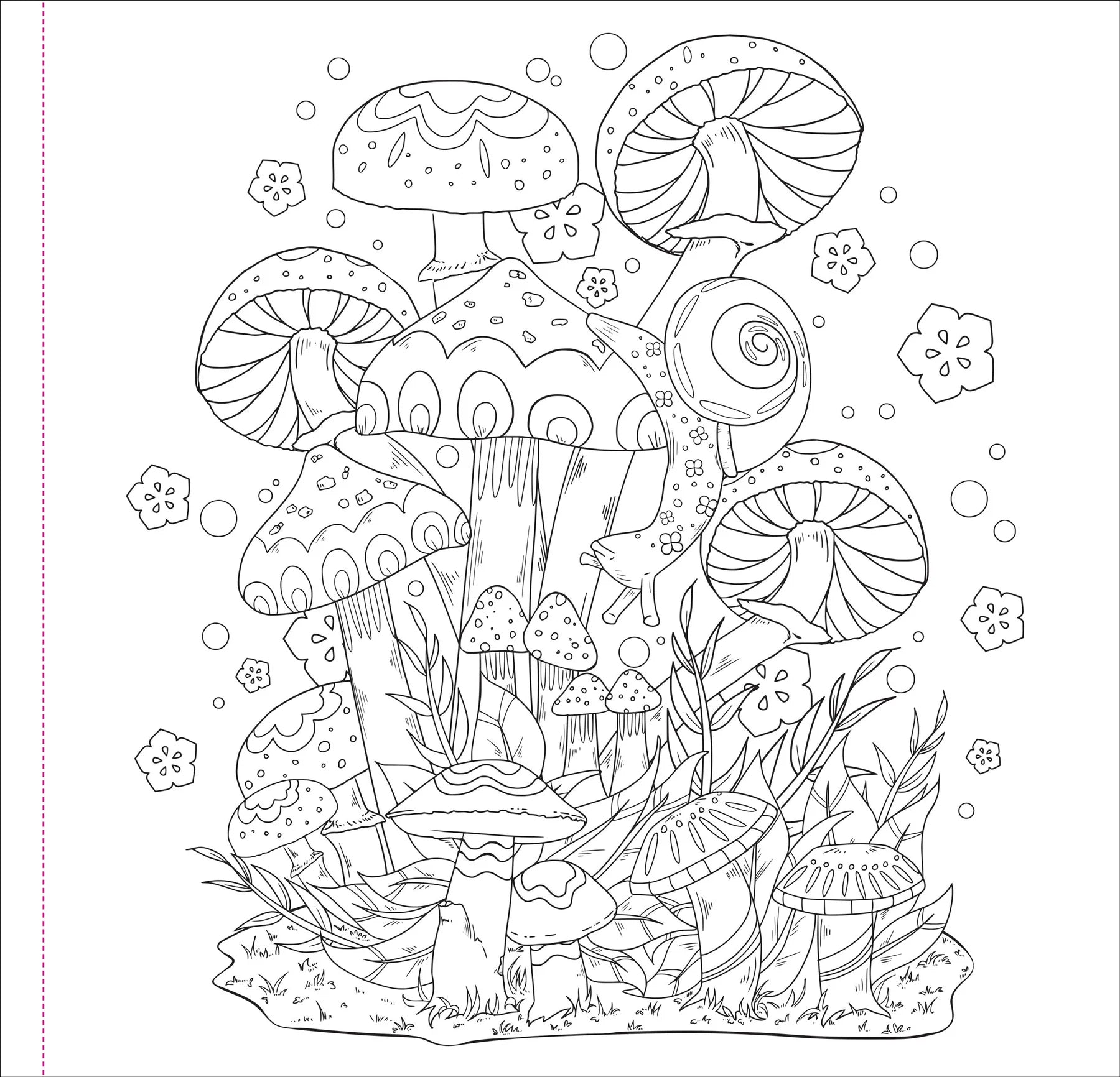 Colouring Book - Mushrooms