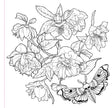 Coloring Book -  Goth Garden