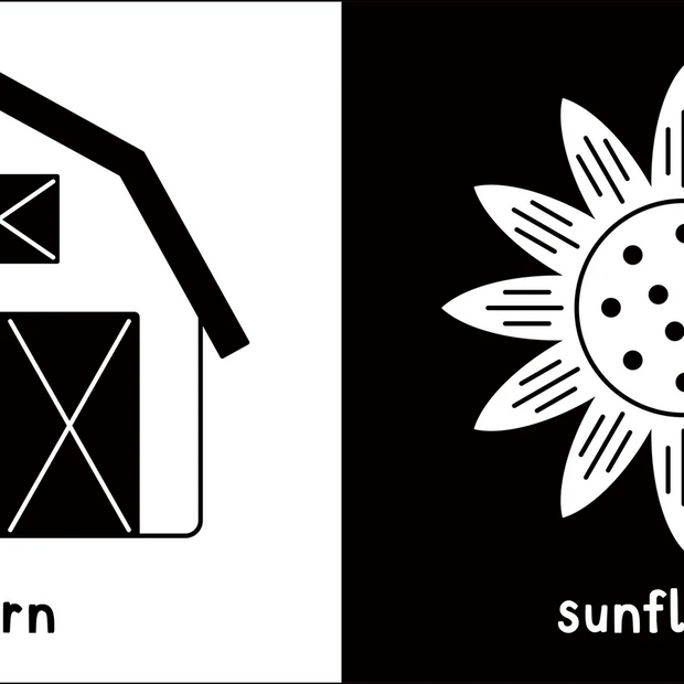 What Does Baby See? On the Farm