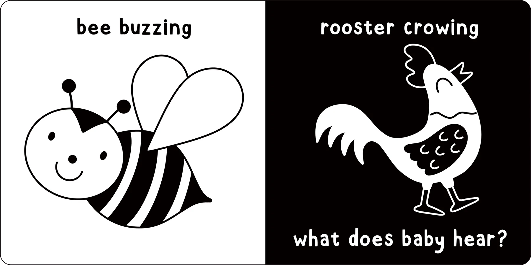 What Does Baby See? On the Farm