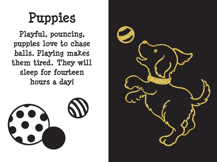 Scratch and Sketch - Furry Friends