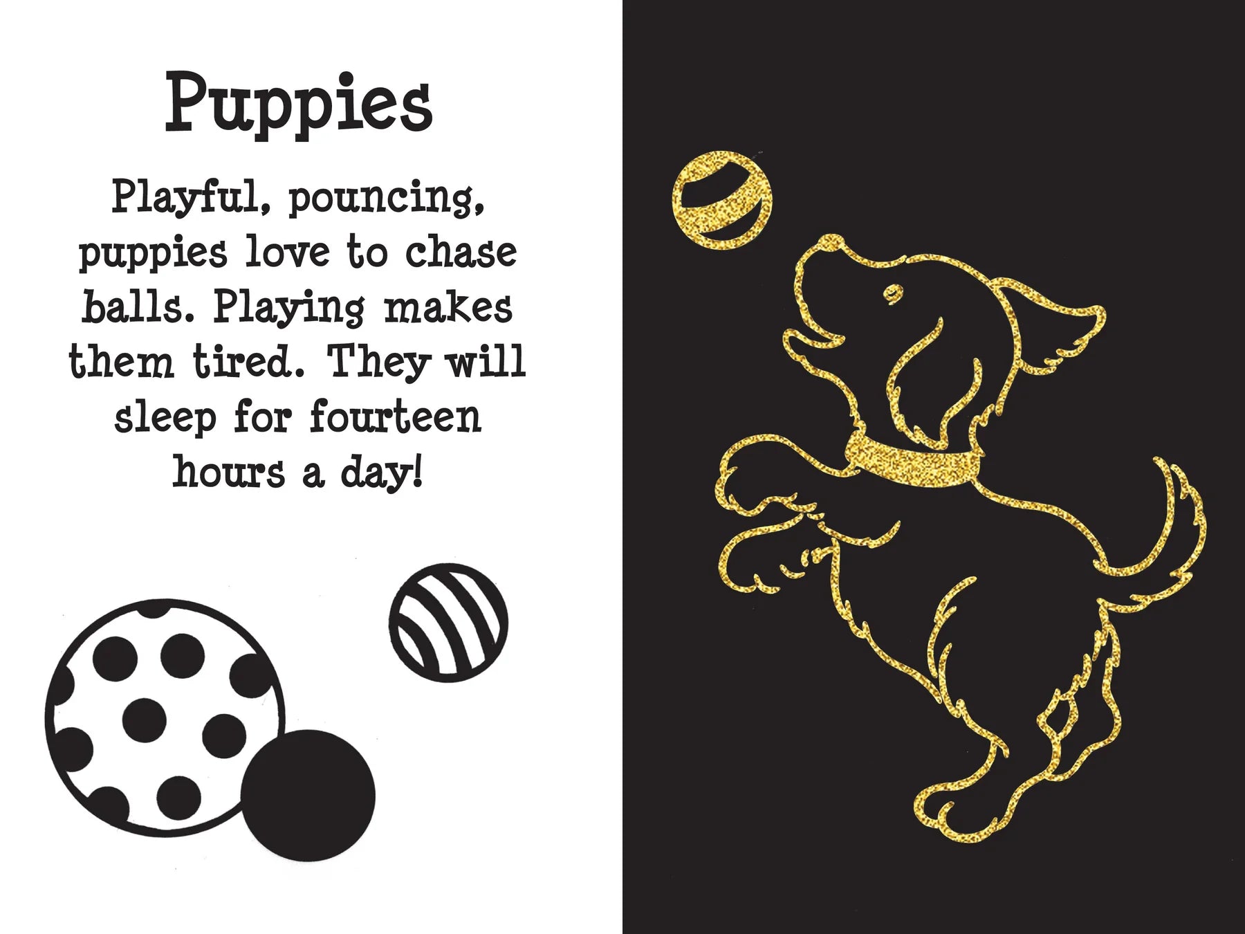 Scratch and Sketch - Furry Friends