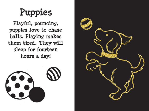 Scratch and Sketch - Furry Friends