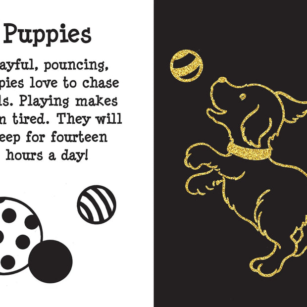 Scratch and Sketch - Furry Friends