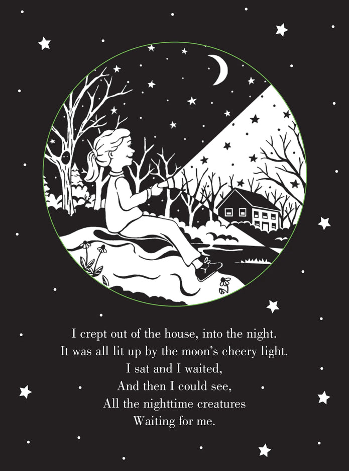 Bedtime Shadow Book - Whoo's There?