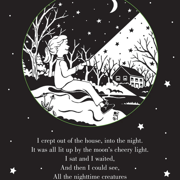 Bedtime Shadow Book - Whoo's There?