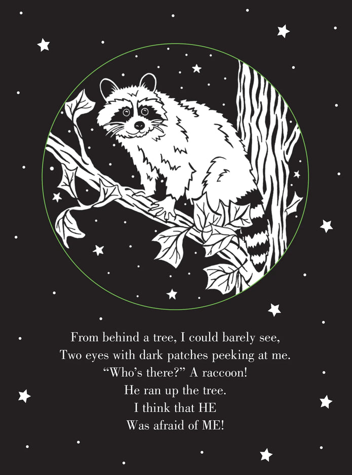 Bedtime Shadow Book - Whoo's There?