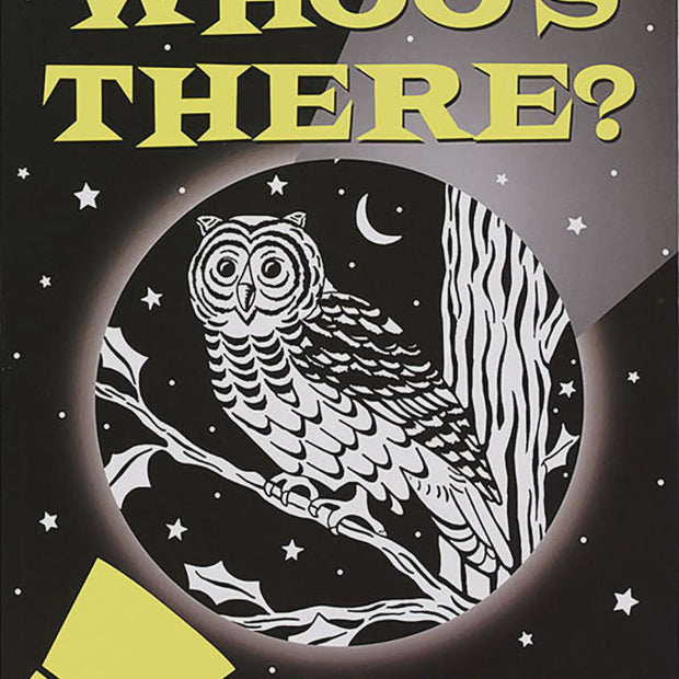 Bedtime Shadow Book - Whoo's There?