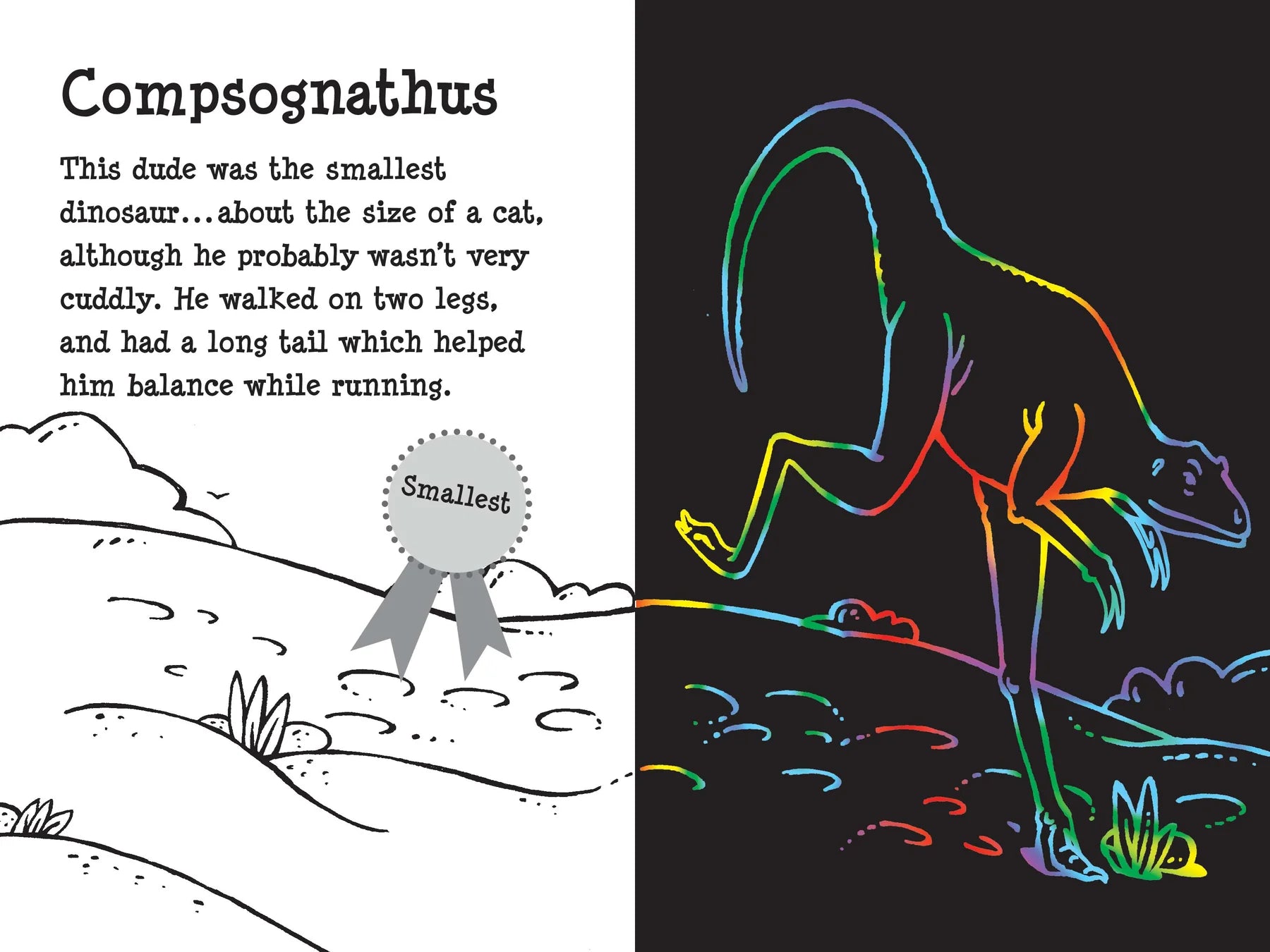 Scratch and Sketch - Dino Dudes