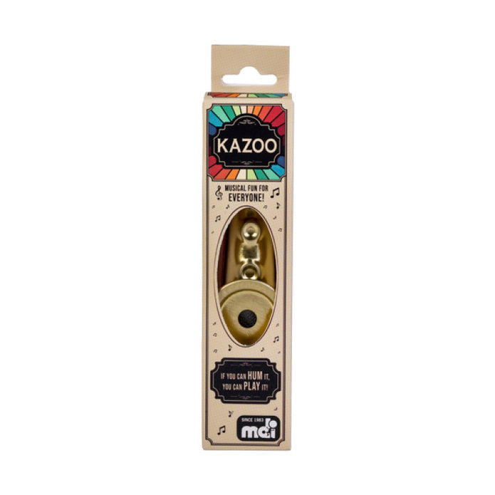 Play Kazoo - Sensory Kingdom