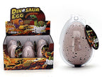 JUMBO GROWING DINOSAUR IN EGG