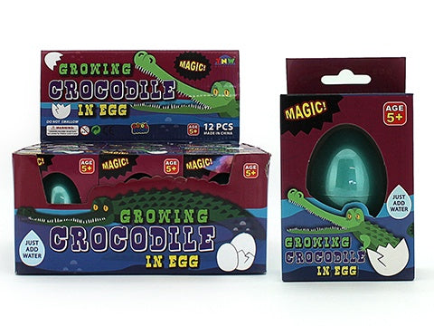 Growing Crocodile in Egg