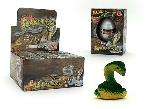 Growing Snake in Egg