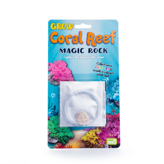 Grow Coral Reef Magic Rock - Sensory Kingdom