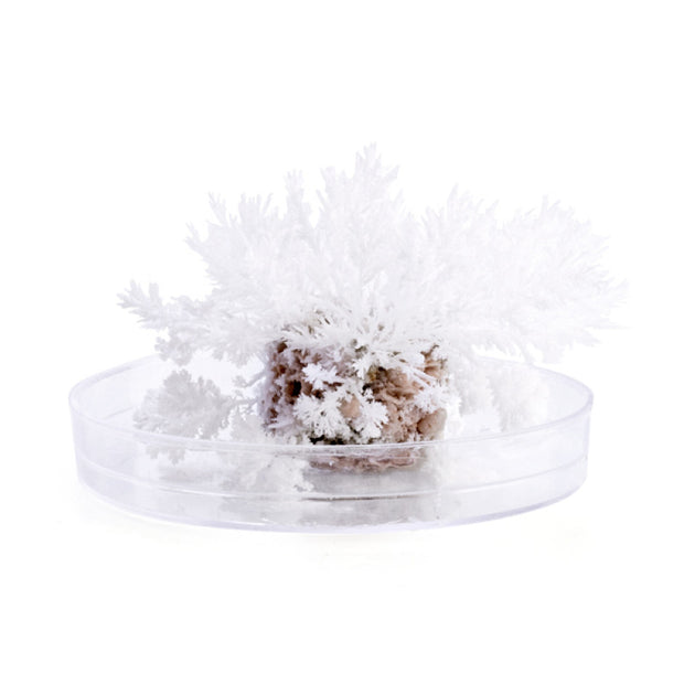 Grow Frozen Magic Rock - Sensory Kingdom